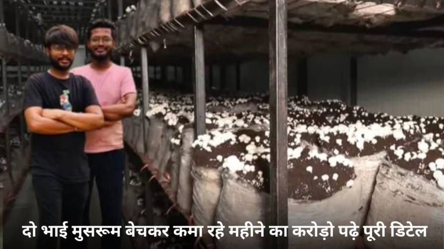 A3R Mushroom Farm Success Story in Hindi : दो भाई मुसरूम बेचकर कमा रहे महीने का करोड़ो पढ़े पूरी डिटेल